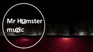 Mr Humster muzic / police at night