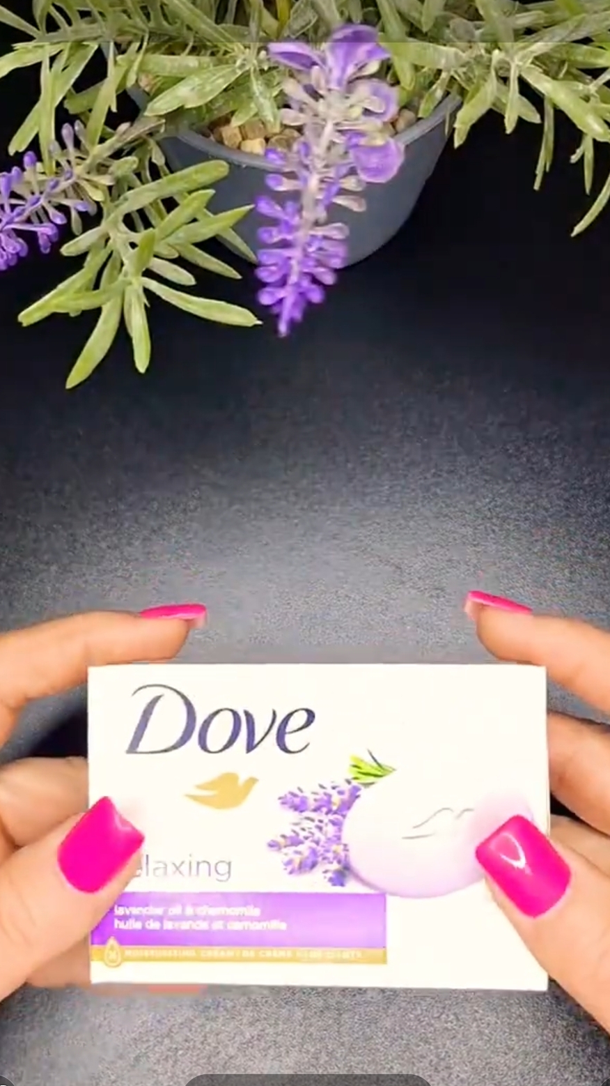 Dove💜🤎🩷💚