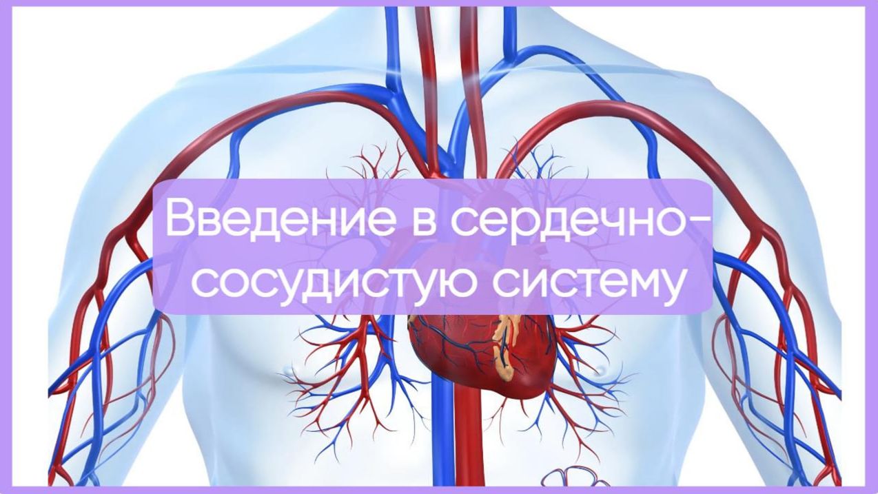 Введение в ССС┃synthesisschool