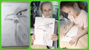 Рисуем карандашом Сокола-Балобана