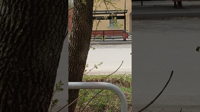 ветер надоел