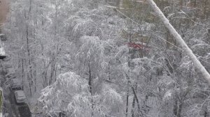 Выгляни в окошко!