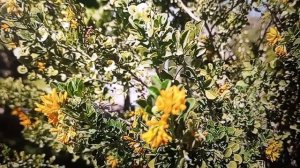 Блогодавилка и Рыма Чек - их оправдания