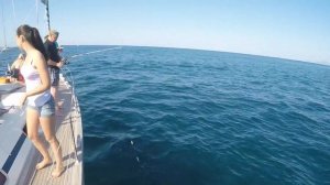 Морские прогулки в Геленджике