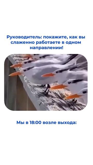 Задача выполнена🫡