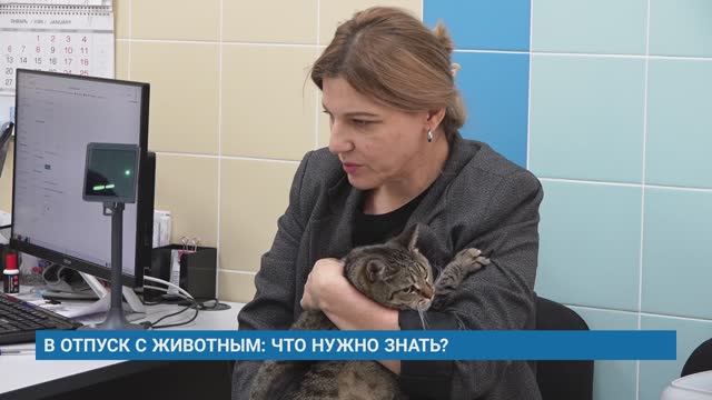 В ОТПУСК С ЖИВОТНЫМ: ЧТО НУЖНО ЗНАТЬ?