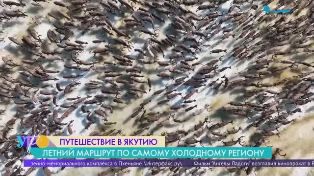 Летний маршрут по Якутии