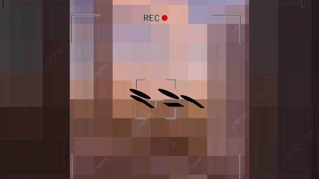 —это я мятик кит(менни) теперь я буду чаще видео выкладывать