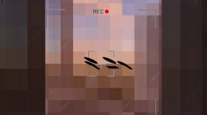 —это я мятик кит(менни) теперь я буду чаще видео выкладывать