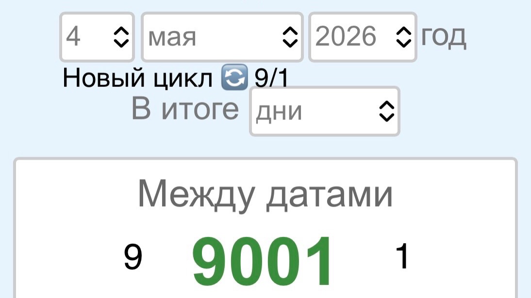 🇮🇱 Израиль, пчёлы 🐝