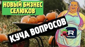 Сельчанка в Америке _Новый бизнес Селюков _Куча вопросов _Обзор _Selchanka v Amerike _Big Big Family