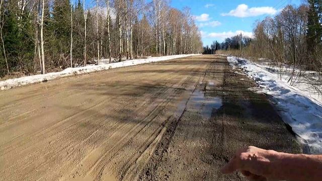 День 620. Птичий хор и первые цветы. Дистанция 14 километров.