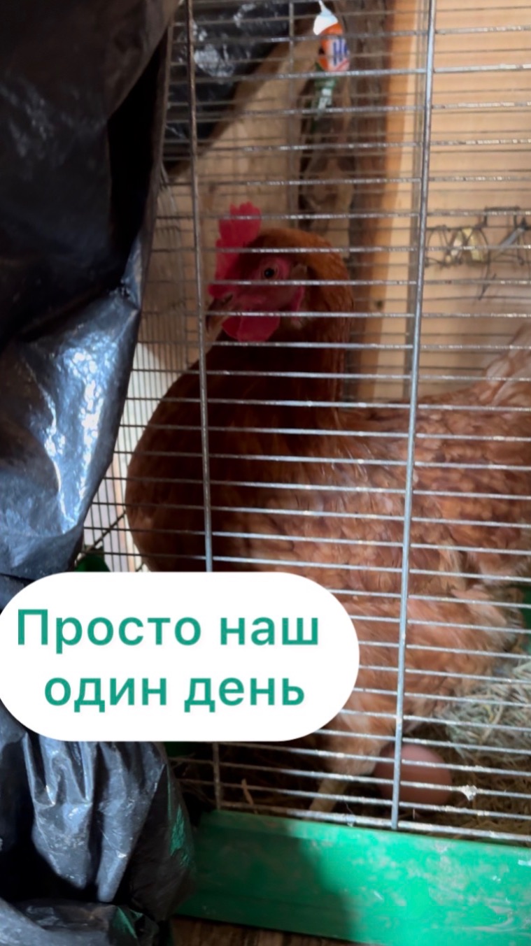 Один наш день