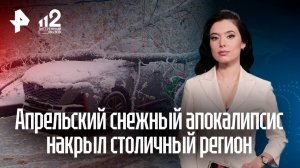 Десятки москвичей остались без машин из-за упавших во время снегопада деревьев