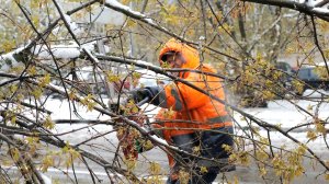 Ликвидация последствий непогоды в Люберцах