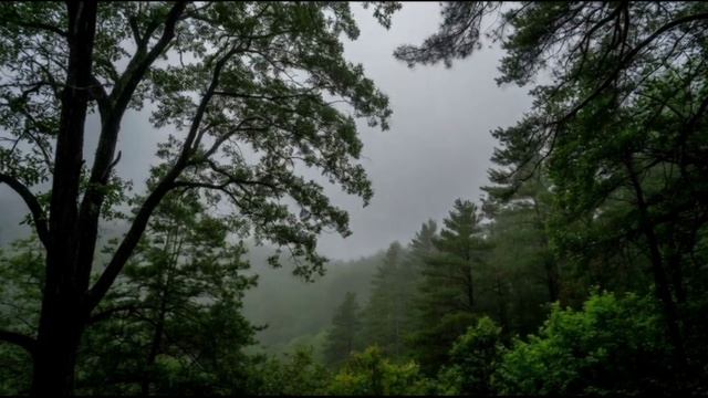 То не ветер ветку клонит