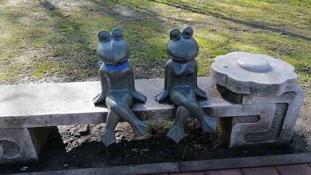 Лягушки у работы💐💖.