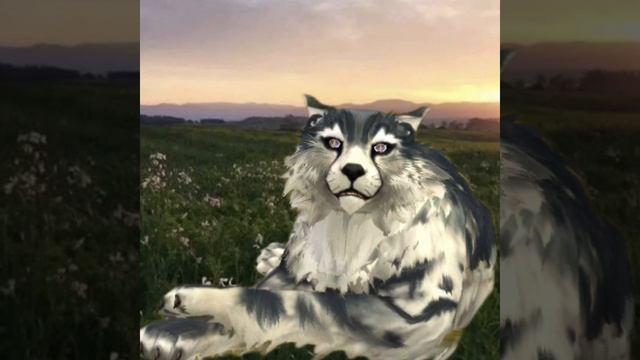 Для блёсточки🌺