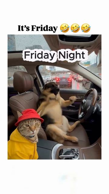 Собакен радуется Пятнице