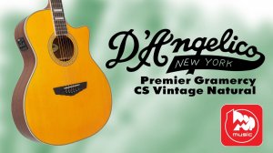 Электроакустика D'Angelico Premier Gramercy CS Vintage Natural