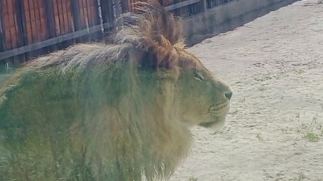 XCVV6168 Видео от Ивана 27.04.2026