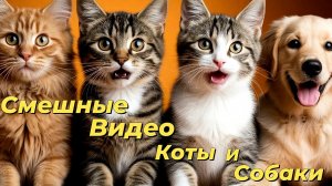 СБОРНИК:18 минут ржаки с котами и собаками