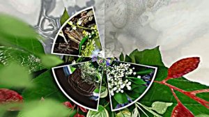 С Днём Рождения 6! Ландышевая Сказка от Киностудии Мудрого Кота Тимофея!!!