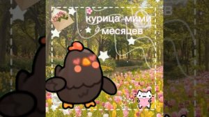 моё новое интро 😋🍕🌟