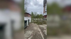 В Самаре упавшие от непогоды деревья насмерть придавили двух взрослых и ребенка.