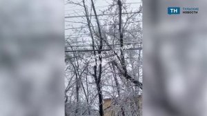 В Туле на улицах Седова и Демонстрации под тяжестью снега упали деревья