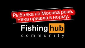 Рыбалка на Москва реке. Река пришла в норму.