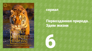 Первозданная природа. Эдем жизни 6 серия (документальный сериал, 1997)