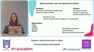 Подход к хроническои боли у кошек-01