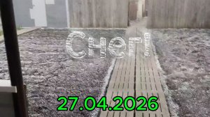 27.04.2026 Зима вернулась. Пошёл снег. Всего +5. В теплице тепло
