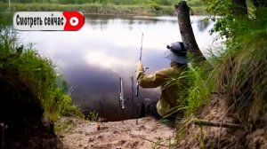Ночная рыбалка на озере. Большие рыбы порвали мне все снасти