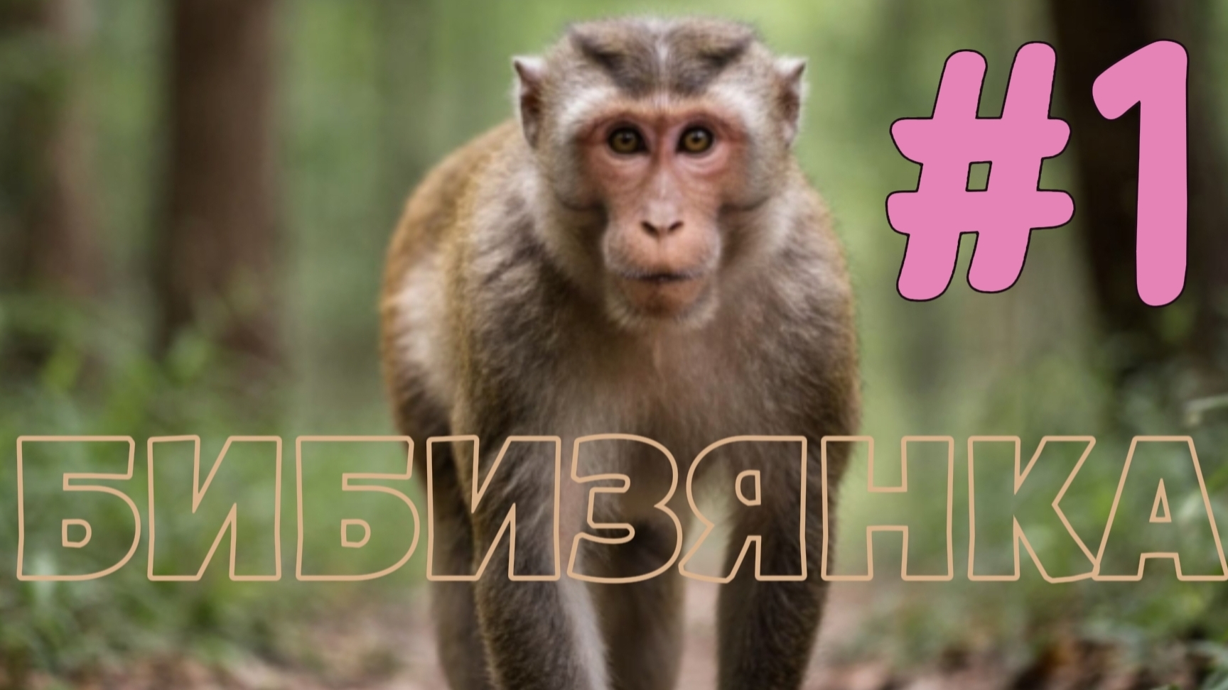 #1 Начало пути I Бибизянка