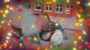 Приключения хомячка - Злодеи захватывают мир! часть 1