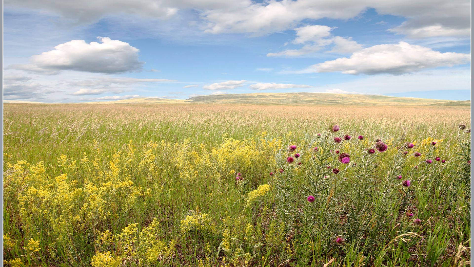 Здесь русский дух, здесь Русью пахнет