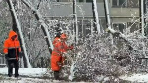 27 апреля 2026 г ,жесть зима в Москве