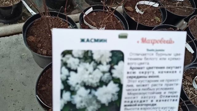 Просто удачный день ♥️ Денег потрачено много, но всё во благо!