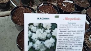 Просто удачный день ♥️ Денег потрачено много, но всё во благо!