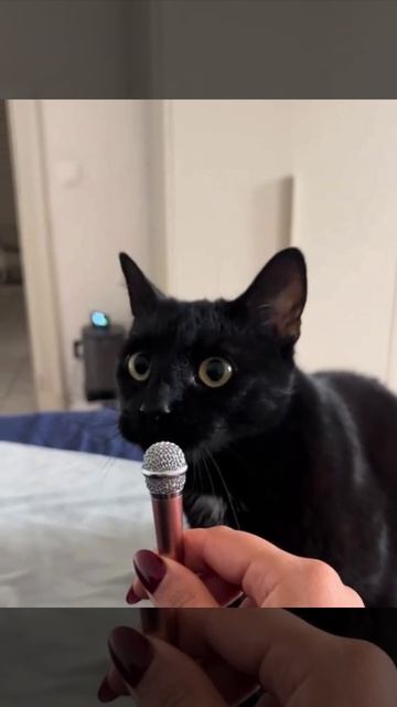 После интервью обещали покормить