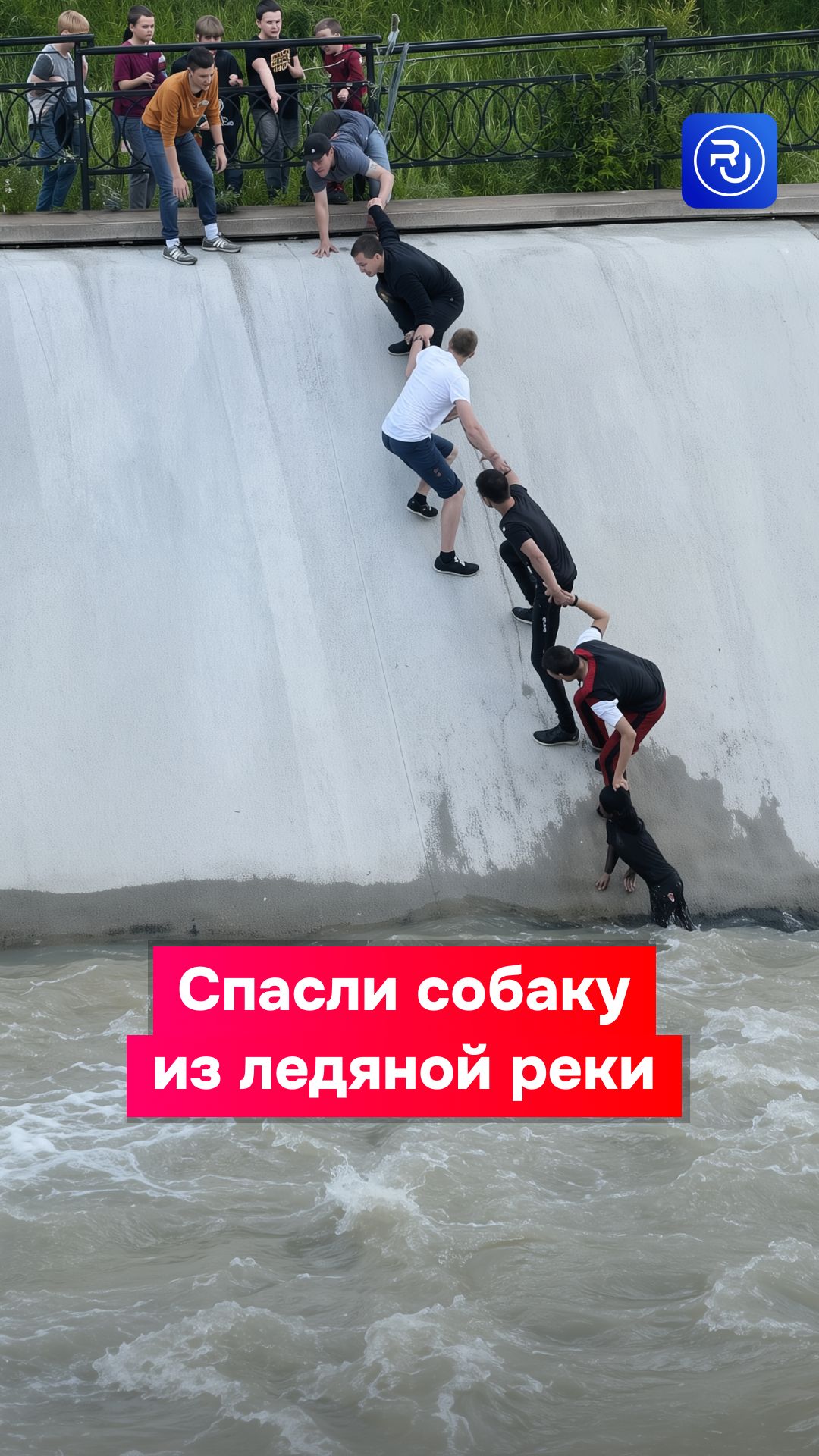 Алматинцы спасли собаку из ледяной реки