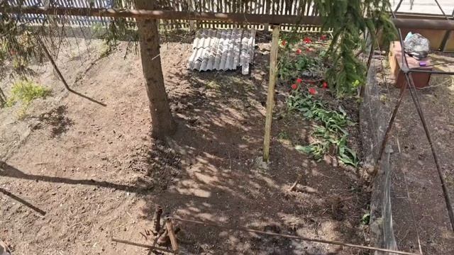 #235.Анапа.Теперь не отдохнёшь,дача ждёт.Как так можно жить? Москва в снегу.