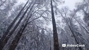 27.04.2026 г. Зима вернулась в Подмосковье!