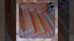 1000057127.mp4 (Собака наблюдает за устройством лестницы на 2-ой этаж в доме А-фрейм)