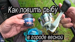 Ловится всё подряд!! Минимум снастей!Рыбалка на Кубани.