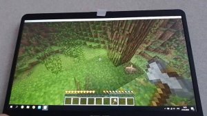 играю в Minecraft видео номер два
