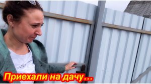 ПРИЕХАЛИ НА ДАЧУ, А ТАМ…/ЧТО ВЫЖИЛО И ЧТО ПОГИБЛО ПОСЛЕ ЗИМЫ