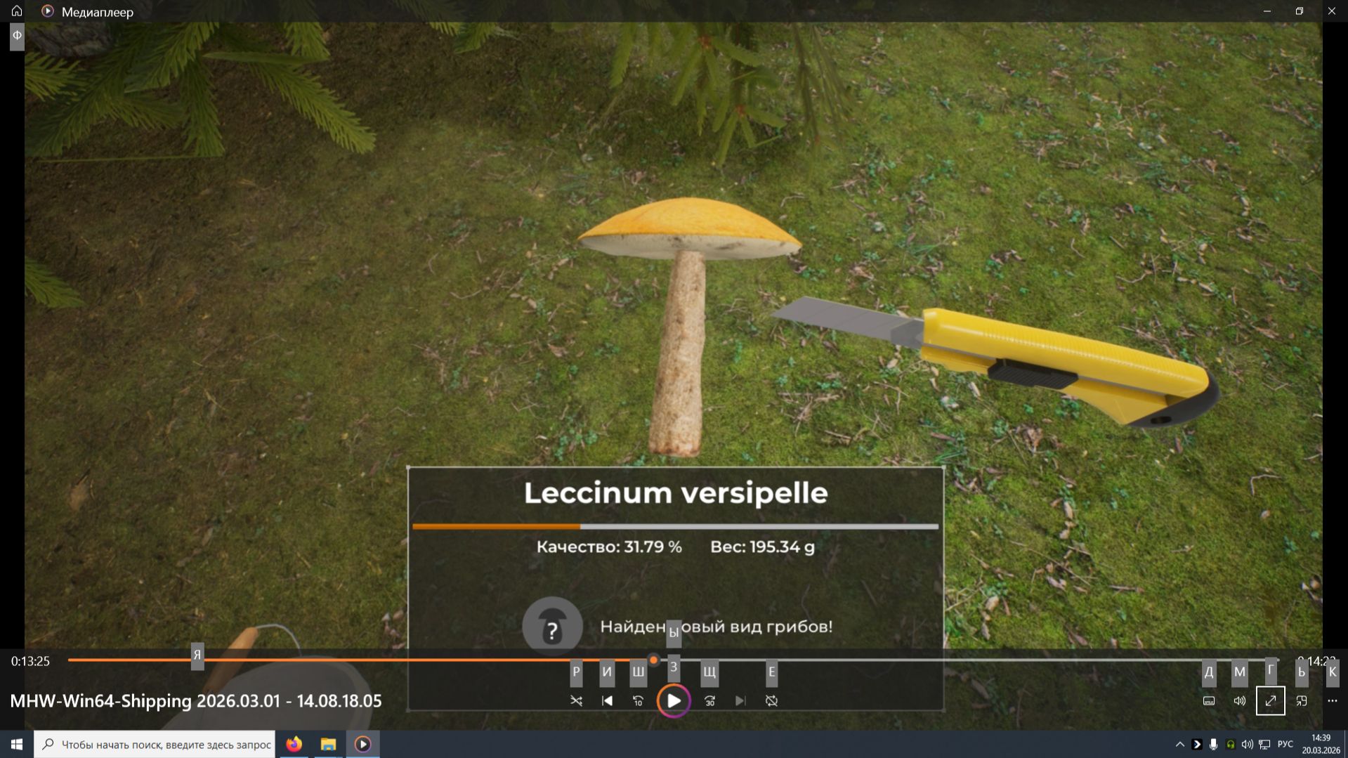 MHW.#3-Старый карьер-задача 2: